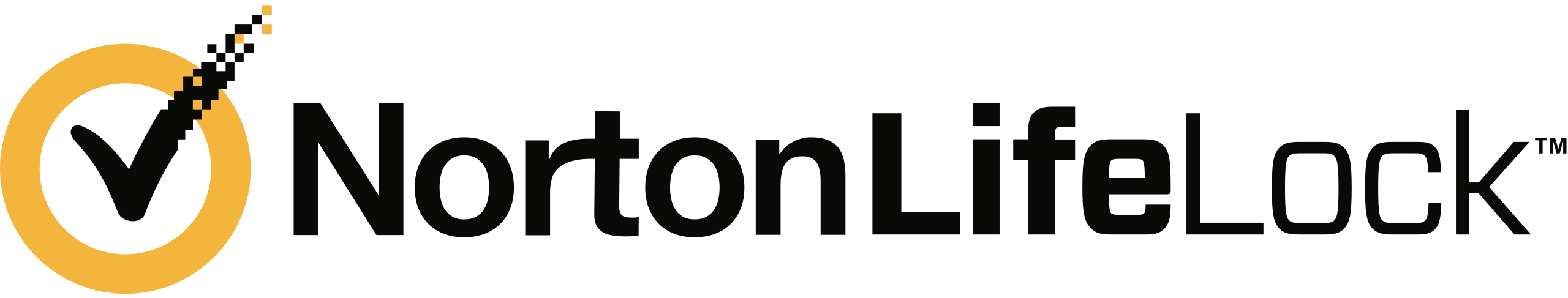 norton logo